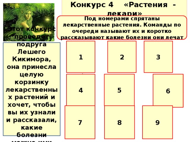 Конкурс 4 «Растения - лекари» Под номерами спрятаны лекарственные растения. Команды по очереди называют их и коротко рассказывают какие болезни они лечат 1 3 2 Этот конкурс проведет подруга Лешего Кикимора, она принесла целую корзинку лекарственных растений и хочет, чтобы вы их узнали и рассказали, какие болезни можно ими лечить 4 5 6 7 8 9 