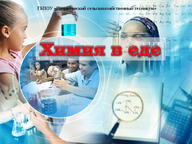 ГБПОУ «Починковский сельскохозяйственный техникум» 