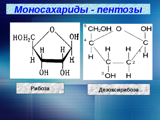 Моносахариды - пентозы Рибоза Дезоксирибоза  