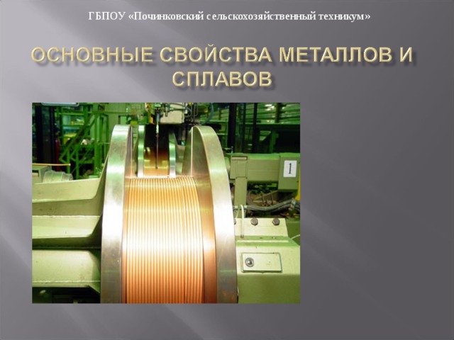 ГБПОУ «Починковский сельскохозяйственный техникум» 