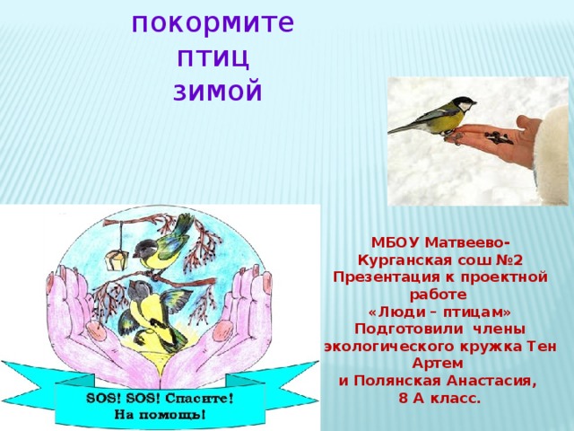 покормите птиц зимой МБОУ Матвеево- Курганская сош №2 Презентация к проектной работе «Люди – птицам» Подготовили члены экологического кружка Тен Артем и Полянская Анастасия, 8 А класс. 