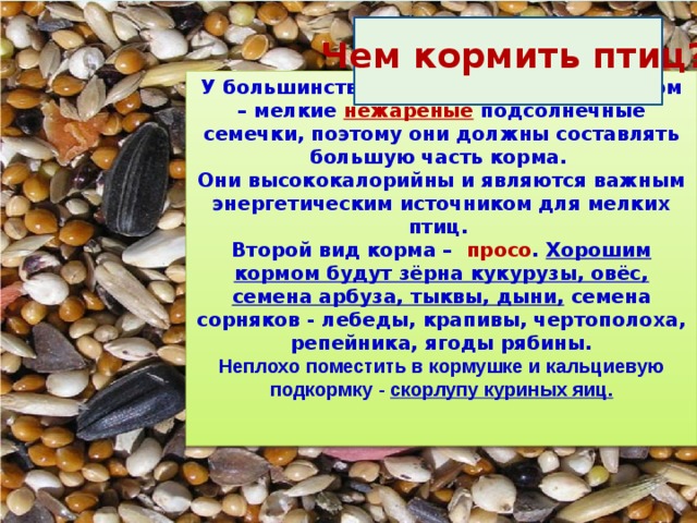 Чем кормить птиц? У большинства видов птиц любимый корм – мелкие нежареные подсолнечные семечки, поэтому они должны составлять большую часть корма. Они высококалорийны и являются важным энергетическим источником для мелких птиц. Второй вид корма –  просо . Хорошим кормом будут зёрна кукурузы, овёс, семена арбуза, тыквы, дыни, семена сорняков - лебеды, крапивы, чертополоха, репейника, ягоды рябины. Неплохо поместить в кормушке и кальциевую подкормку - скорлупу куриных яиц.    