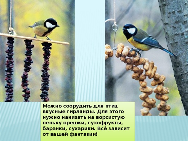 Можно соорудить для птиц вкусные гирлянды. Для этого нужно нанизать на ворсистую пеньку орешки, сухофрукты, баранки, сухарики. Всё зависит от вашей фантазии!   