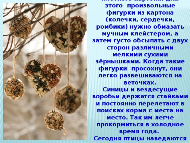 Очень необычные, интересные и простые кормушки получаются из плотного картона. Для этого  произвольные фигурки из картона (колечки, сердечки, ромбики) нужно обмазать мучным клейстером, а затем густо обсыпать с двух сторон различными мелкими сухими зёрнышками. Когда такие фигурки  просохнут, они легко развешиваются на веточках. Синицы и вездесущие воробьи держатся стайками и постоянно перелетают в поисках корма с места на место. Так им легче прокормиться в холодное время года.  Сегодня птицы наведаются к вашей кормушке, а завтра – к другой.  К кормушке наведываются разные пернатые. 