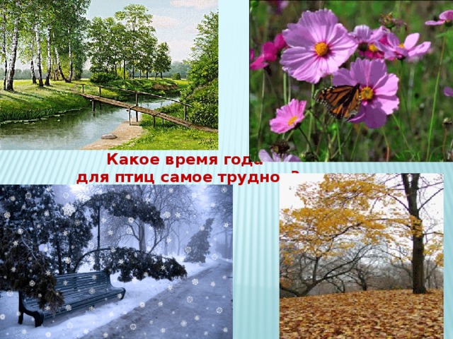 Какое время года для птиц самое трудное? 