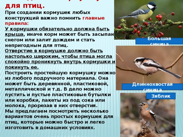 Как сделать кормушку для птиц. При создании кормушек любых конструкций важно помнить главные правила: У кормушки обязательно должна быть крыша , иначе корм может быть засыпан снегом или залит дождем и стать непригодным для птиц. Отверстие в кормушке должно быть настолько широким, чтобы птица могла спокойно проникнуть внутрь кормушки и покинуть ее. Построить простейшую кормушку можно из любого подручного материала. Она может быть деревянной, пластиковой, металлической и т.д. В дело можно пустить и пустые пластиковые бутылки или коробки, пакеты из под сока или молока, прорезав в них отверстия.  Мы предлагаем посмотреть несколько вариантов очень простых кормушек для птиц, которые можно быстро и легко изготовить в домашних условиях. Большая синица Длиннохвостая синица Зяблик 