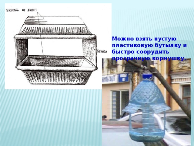 Можно взять пустую пластиковую бутылку и быстро соорудить прозрачную кормушку. 
