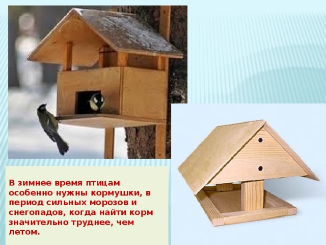  В зимнее время птицам особенно нужны кормушки, в период сильных морозов и снегопадов, когда найти корм значительно труднее, чем летом.    