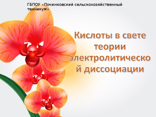ГБПОУ «Починковский сельскохозяйственный техникум» 