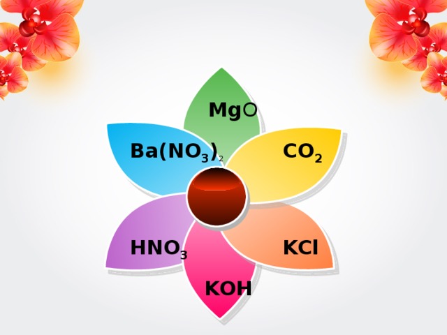 Mg O Ba(NO 3 ) 2 CO 2 HNO 3 KCl KOH 