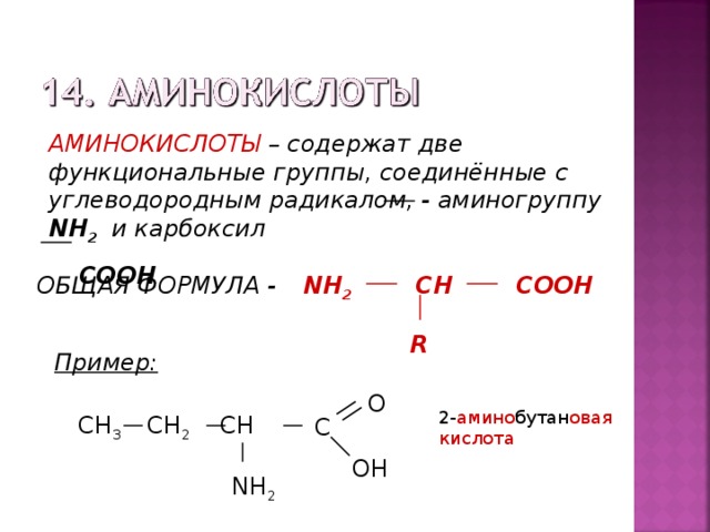 АМИНОКИСЛОТЫ – содержат две функциональные группы, соединённые с углеводородным радикалом, - аминогруппу NH 2 и карбоксил  СООН CH NH 2 ОБЩАЯ ФОРМУЛА - COOH R Пример: O СН 3  CH 2 CH  2- амино бутан овая кислота C  ОН NH 2 