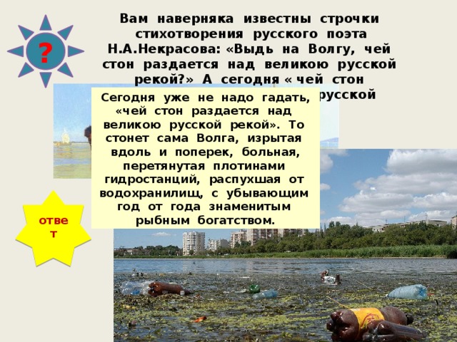 Вам наверняка известны строчки стихотворения русского поэта Н.А.Некрасова: «Выдь на Волгу, чей стон раздается над великою русской рекой?» А сегодня « чей стон раздается над великою русской рекой…»? ? Сегодня уже не надо гадать, «чей стон раздается над великою русской рекой». То стонет сама Волга, изрытая вдоль и поперек, больная, перетянутая плотинами гидростанций, распухшая от водохранилищ, с убывающим год от года знаменитым рыбным богатством. ответ 