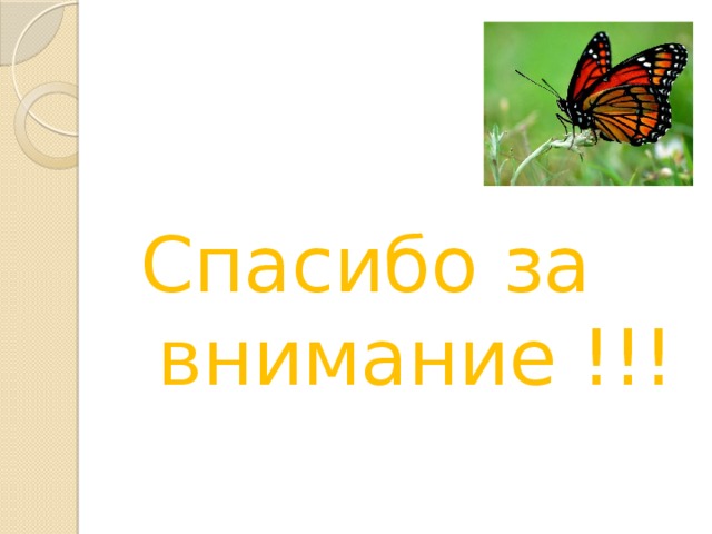 Спасибо за внимание !!! 