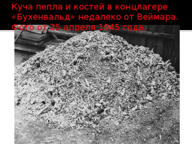 Куча пепла и костей в концлагере «Бухенвальд» недалеко от Веймара. Фото от 25 апреля 1945 года. 