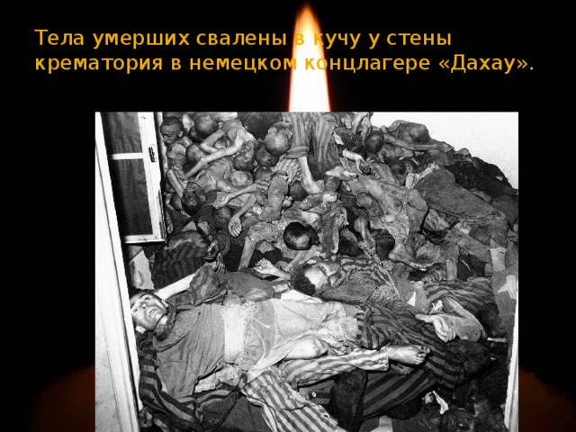 Тела умерших свалены в кучу у стены крематория в немецком концлагере «Дахау». 