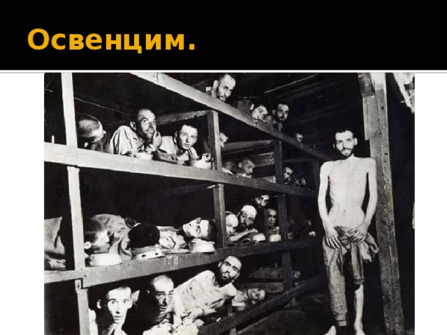Освенцим. 