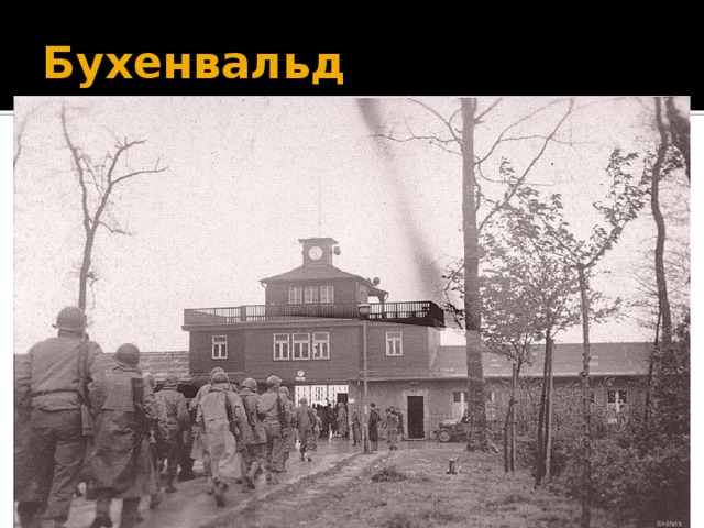Бухенвальд 