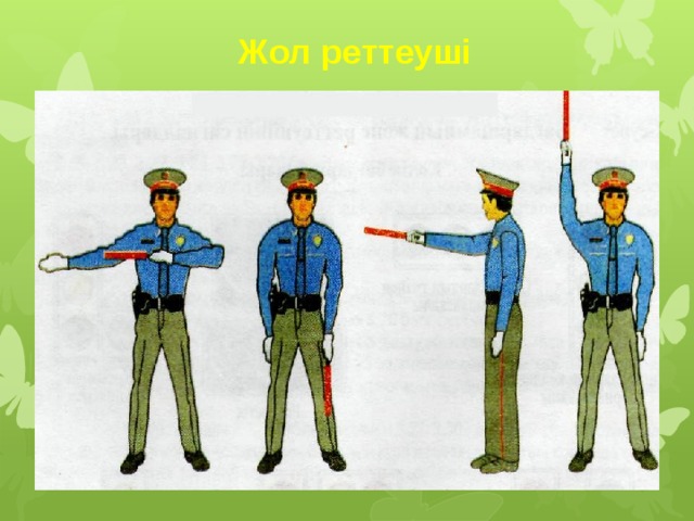 Жол реттеуші 