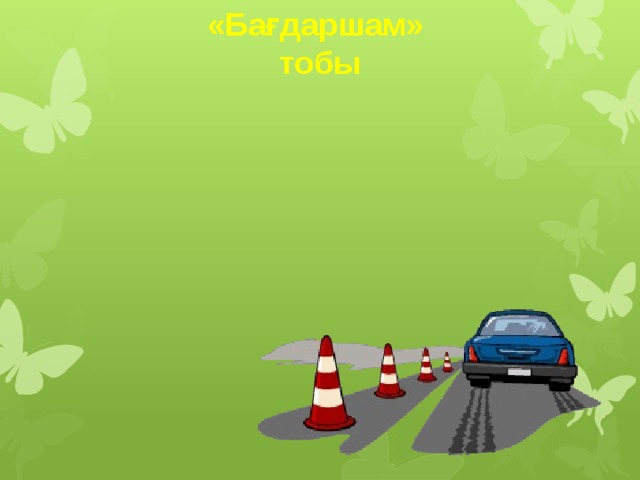 «Бағдаршам» тобы  