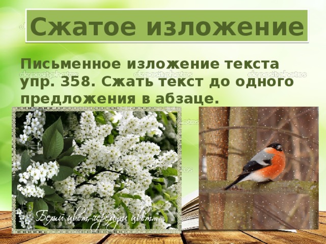 Сжатое изложение Письменное изложение текста упр. 358. Сжать текст до одного предложения в абзаце. 