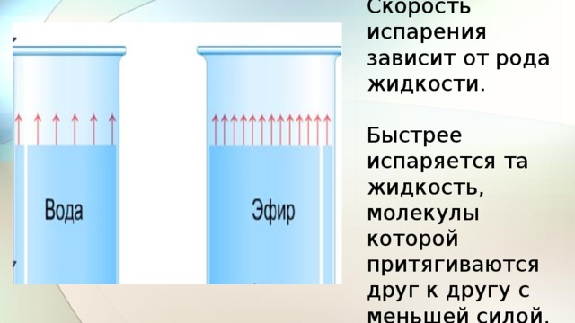 Скорость испарения зависит от рода жидкости. Быстрее испаряется та жидкость, молекулы которой притягиваются друг к другу с меньшей силой. 