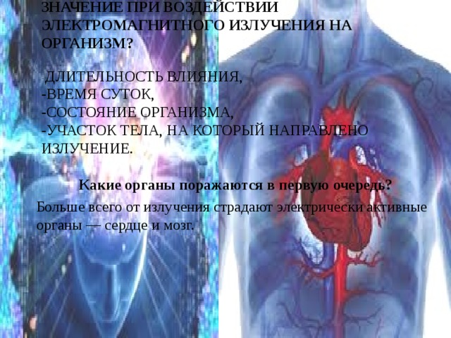  Какие факторы имеют наибольшее значение при воздействии электромагнитного излучения на организм?   - длительность влияния,  -время суток,  -состояние организма,  -участок тела, на который направлено излучение. Какие органы поражаются в первую очередь? Больше всего от излучения страдают электрически активные органы — сердце и мозг. 