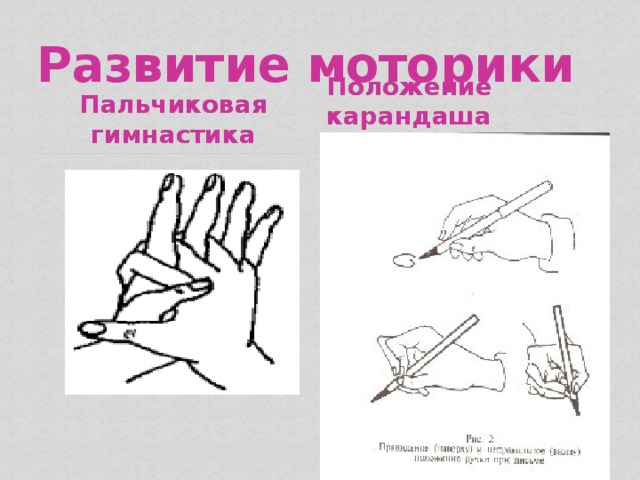 Развитие моторики Положение карандаша Пальчиковая гимнастика 