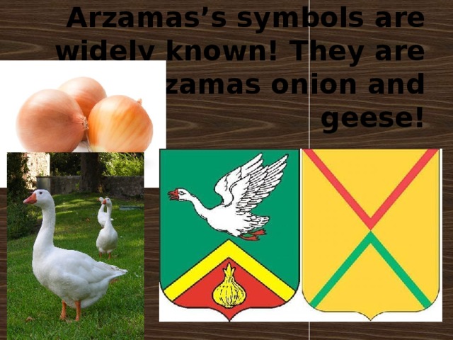  Arzamas’s symbols are widely known! They are Arzamas onion and geese! 