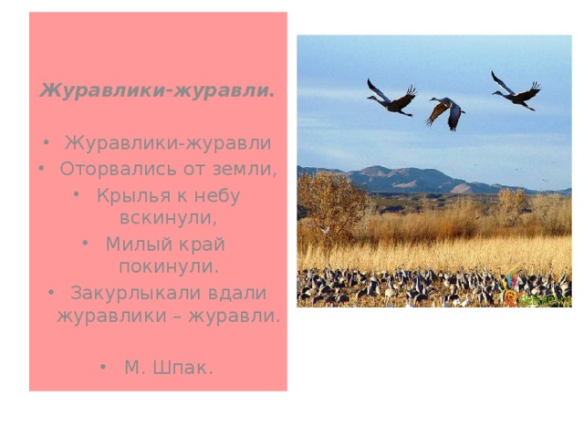   Журавлики-журавли. Журавлики-журавли Оторвались от земли, Крылья к небу вскинули, Милый край покинули. Закурлыкали вдали журавлики – журавли. М. Шпак. 