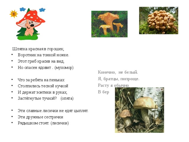  Шляпка красная в горошек, Воротник на тонкой ножке. Этот гриб красив на вид, Но опасен ядовит . (мухомор) Что за ребята на пеньках Столпились тесной кучкой И держат зонтики в руках, Застёгнутые тучкой? (опята) Эти славные лисички не едят цыплят. Эти дружные сестрички Рядышком стоят. (лисички) Конечно, не белый. Я, братцы, попроще. Расту я обычно В берёзовой роще. (подберёзовик).  