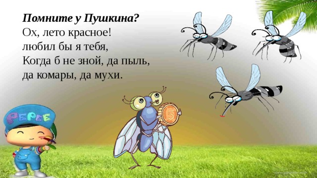 Помните у Пушкина? Ох, лето красное! любил бы я тебя, Когда б не зной, да пыль, да комары, да мухи. 