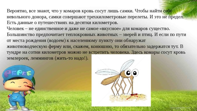 Вероятно, все знают, что у комаров кровь сосут лишь самки. Чтобы найти себе невольного донора, самки совершают трехкилометровые перелеты. И это не предел. Есть данные о путешествиях на десятки километров. Человек – не единственное и даже не самое «вкусное» для комаров существо. Большинство предпочитает теплокровных животных – зверей и птиц. И если по пути от места рождения (водоем) к населенному пункту они обнаружат животноводческую ферму или, скажем, конюшню, то обязательно задержатся тут. В тундре на сотни километров можно не встретить человека. Здесь комары сосут кровь землероек, леммингов (жить-то надо!). 