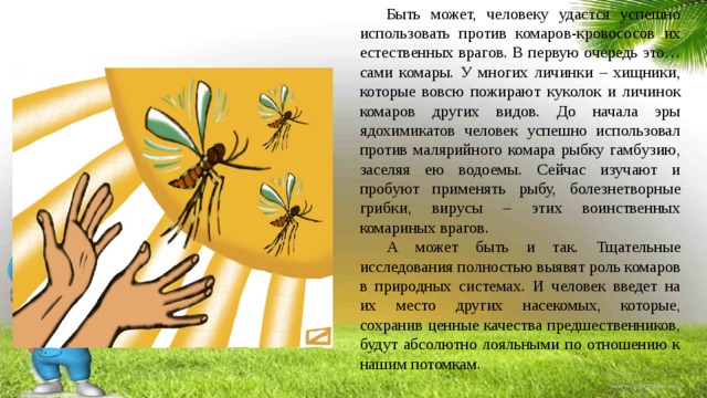 Быть может, человеку удастся успешно использовать против комаров-кровососов их естественных врагов. В первую очередь это… сами комары. У многих личинки – хищники, которые вовсю пожирают куколок и личинок комаров других видов. До начала эры ядохимикатов человек успешно использовал против малярийного комара рыбку гамбузию, заселяя ею водоемы. Сейчас изучают и пробуют применять рыбу, болезнетворные грибки, вирусы – этих воинственных комариных врагов. А может быть и так. Тщательные исследования полностью выявят роль комаров в природных системах. И человек введет на их место других насекомых, которые, сохранив ценные качества предшественников, будут абсолютно лояльными по отношению к нашим потомкам. 