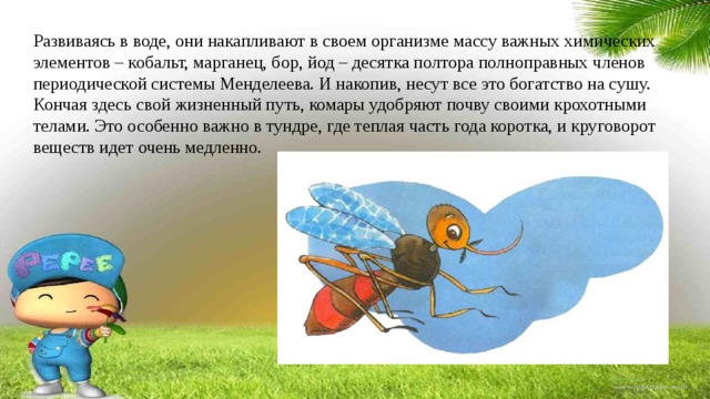 Развиваясь в воде, они накапливают в своем организме массу важных химических элементов – кобальт, марганец, бор, йод – десятка полтора полноправных членов периодической системы Менделеева. И накопив, несут все это богатство на сушу. Кончая здесь свой жизненный путь, комары удобряют почву своими крохотными телами. Это особенно важно в тундре, где теплая часть года коротка, и круговорот веществ идет очень медленно. 