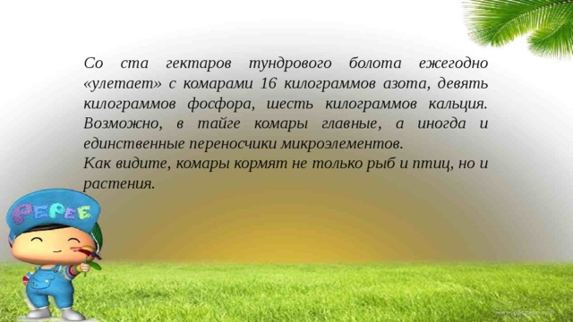 Со ста гектаров тундрового болота ежегодно «улетает» с комарами 16 килограммов азота, девять килограммов фосфора, шесть килограммов кальция. Возможно, в тайге комары главные, а иногда и единственные переносчики микроэлементов. Как видите, комары кормят не только рыб и птиц, но и растения. 