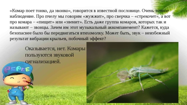 «Комар поет тонко, да звонко», говорится в известной пословице. Очень точное наблюдение. Про пчелу мы говорим «жужжит», про сверчка – «стрекочет», а вот про комара – «пищит» или «звенит». Есть даже группа комаров, которых так и называют – звонцы. Зачем им этот музыкальный аккомпанемент? Кажется, куда безопаснее было бы передвигаться втихомолку. Может быть, звук – неизбежный результат вибрации крыльев, побочный эффект? Оказывается, нет. Комары пользуются звуковой сигнализацией.  