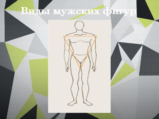 Виды мужских фигур 
