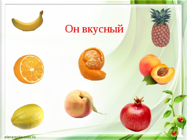Он вкусный 