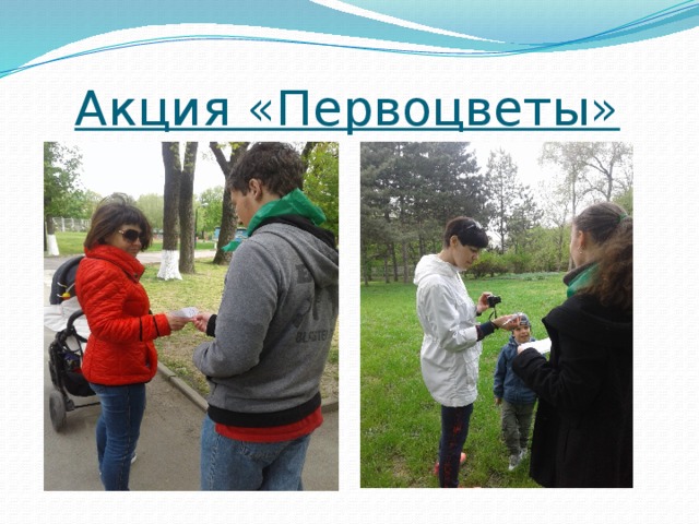 Акция «Первоцветы» 