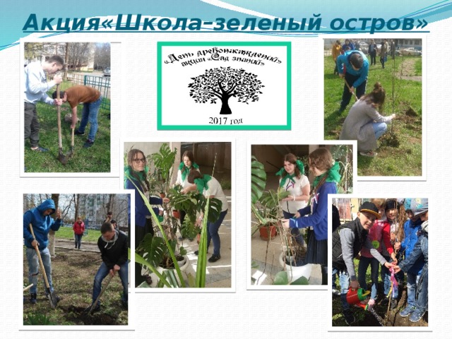 Акция«Школа–зеленый остров» 