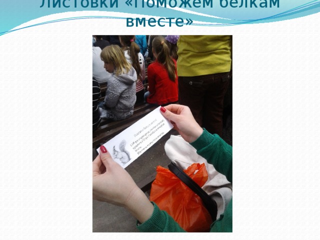 Листовки «Поможем белкам вместе» 