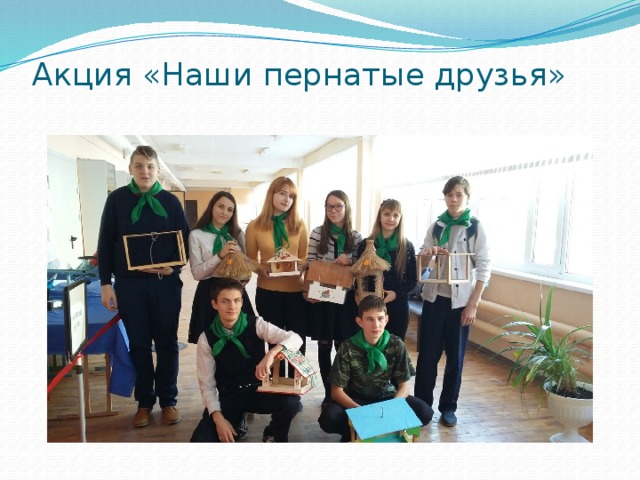 Акция «Наши пернатые друзья»   