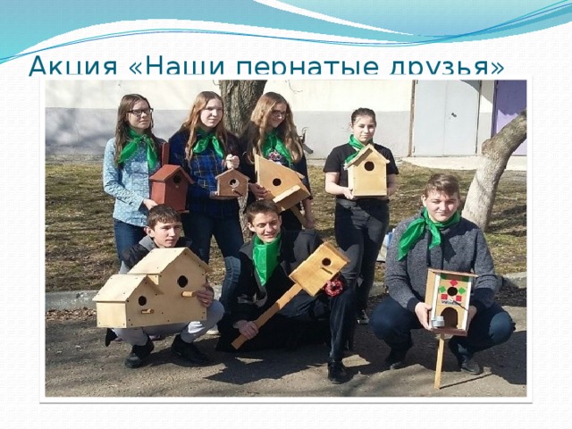 Акция «Наши пернатые друзья»   