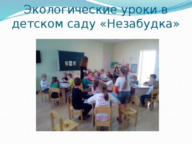 Экологические уроки в детском саду «Незабудка» 