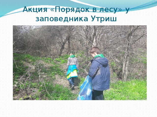 Акция «Порядок в лесу» у заповедника Утриш 