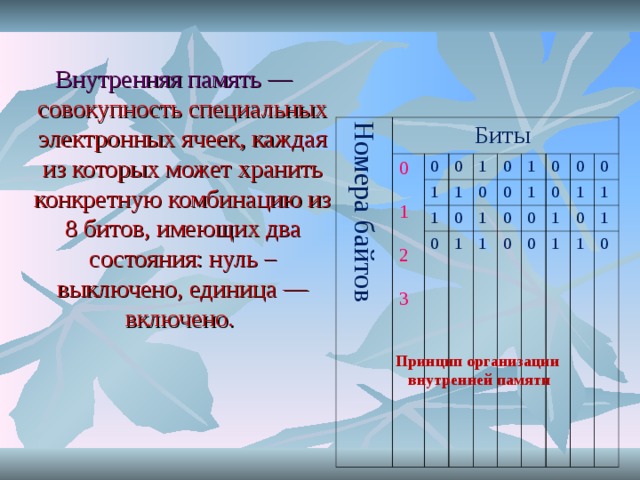  Внутренняя память — совокупность специальных электронных ячеек, каждая из которых может хранить конкретную комбинацию из 8 битов, имеющих два состояния: нуль – выключено, единица — включено. Номера байтов Биты 0 1 2 3 0 0 1 1 1 1 0 0 0 0 1 0 1 1 0 0 1 1 0 0 0 0 0 1 0 1 0 1 1 1 1 0 Принцип организации внутренней памяти 
