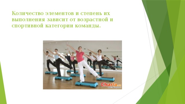 Количество элементов и степень их выполнения зависит от возрастной и спортивной категории команды. 