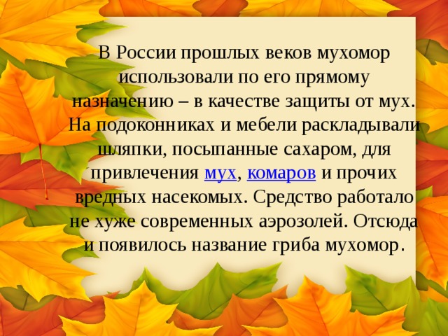 В России прошлых веков мухомор использовали по его прямому назначению – в качестве защиты от мух. На подоконниках и мебели раскладывали шляпки, посыпанные сахаром, для привлечения мух , комаров и прочих вредных насекомых. Средство работало не хуже современных аэрозолей. Отсюда и появилось название гриба мухомор . 