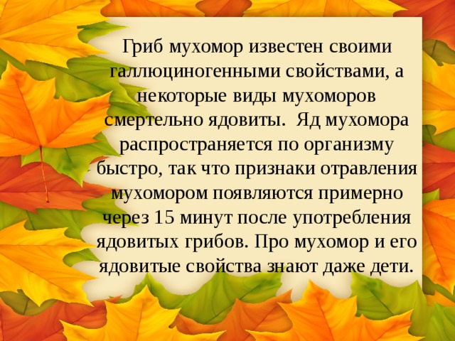 Гриб мухомор известен своими галлюциногенными свойствами, а некоторые виды мухоморов смертельно ядовиты. Яд мухомора распространяется по организму быстро, так что признаки отравления мухомором появляются примерно через 15 минут после употребления ядовитых грибов. Про мухомор и его ядовитые свойства знают даже дети. 