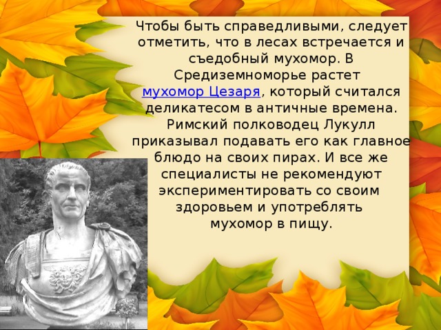 Чтобы быть справедливыми, следует отметить, что в лесах встречается и съедобный мухомор. В Средиземноморье растет мухомор Цезаря , который считался деликатесом в античные времена. Римский полководец Лукулл приказывал подавать его как главное блюдо на своих пирах. И все же специалисты не рекомендуют экспериментировать со своим  здоровьем и употреблять  мухомор в пищу. 